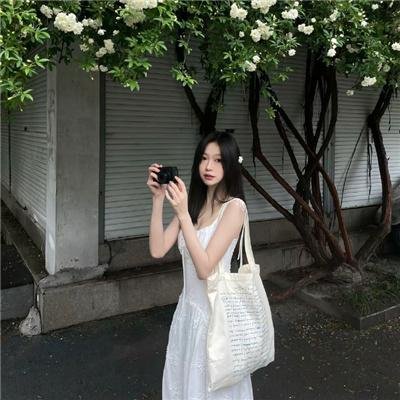 归来燕